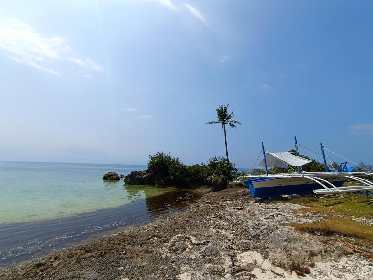 The Wild Orchid Resort - Moalboal Exteriér fotografie