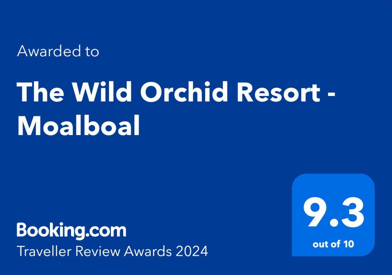 The Wild Orchid Resort - Moalboal Exteriér fotografie