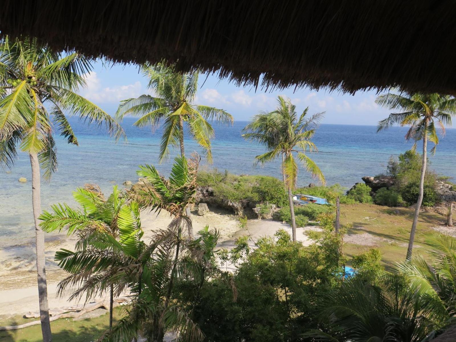 The Wild Orchid Resort - Moalboal Exteriér fotografie