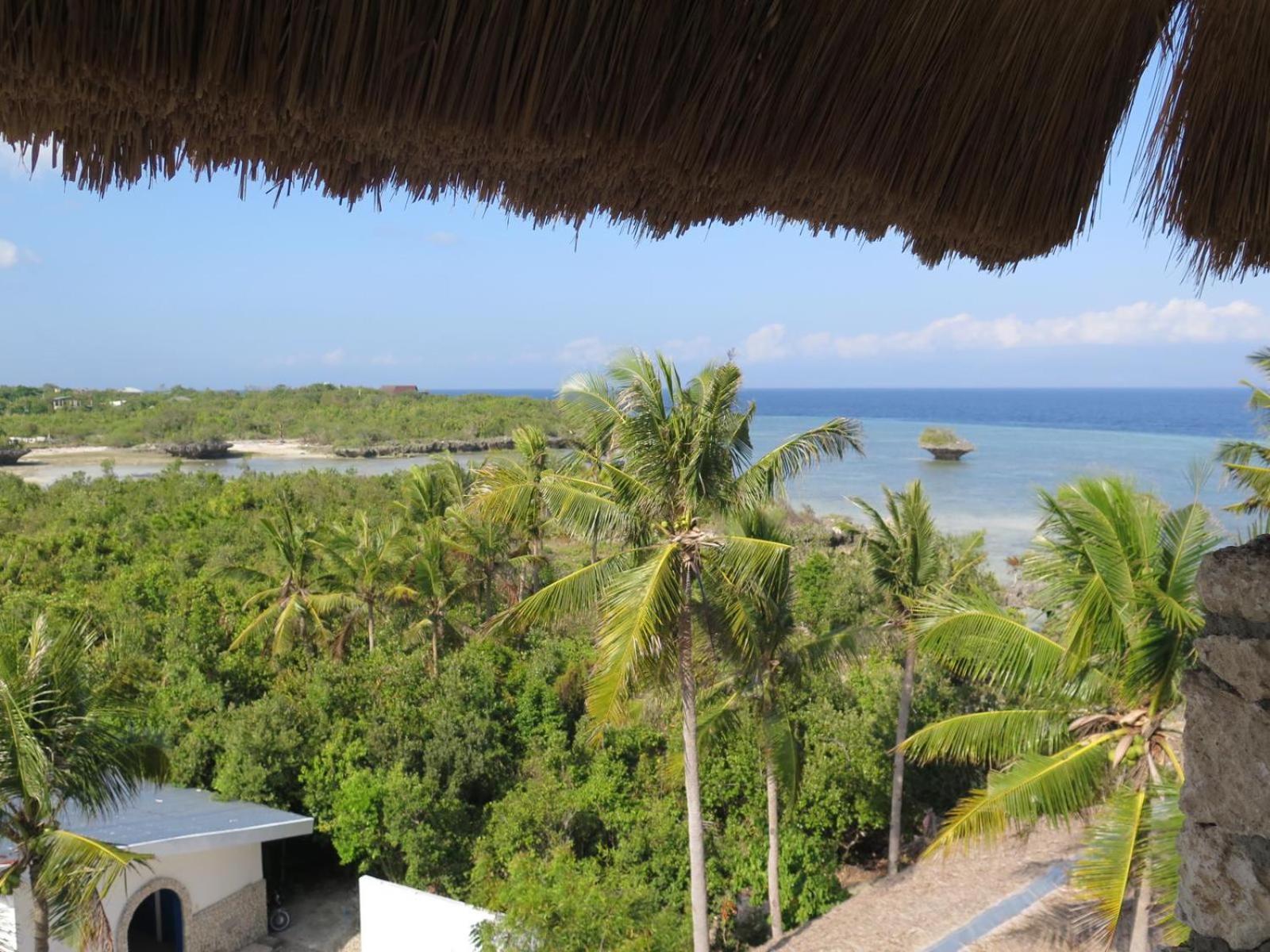 The Wild Orchid Resort - Moalboal Exteriér fotografie