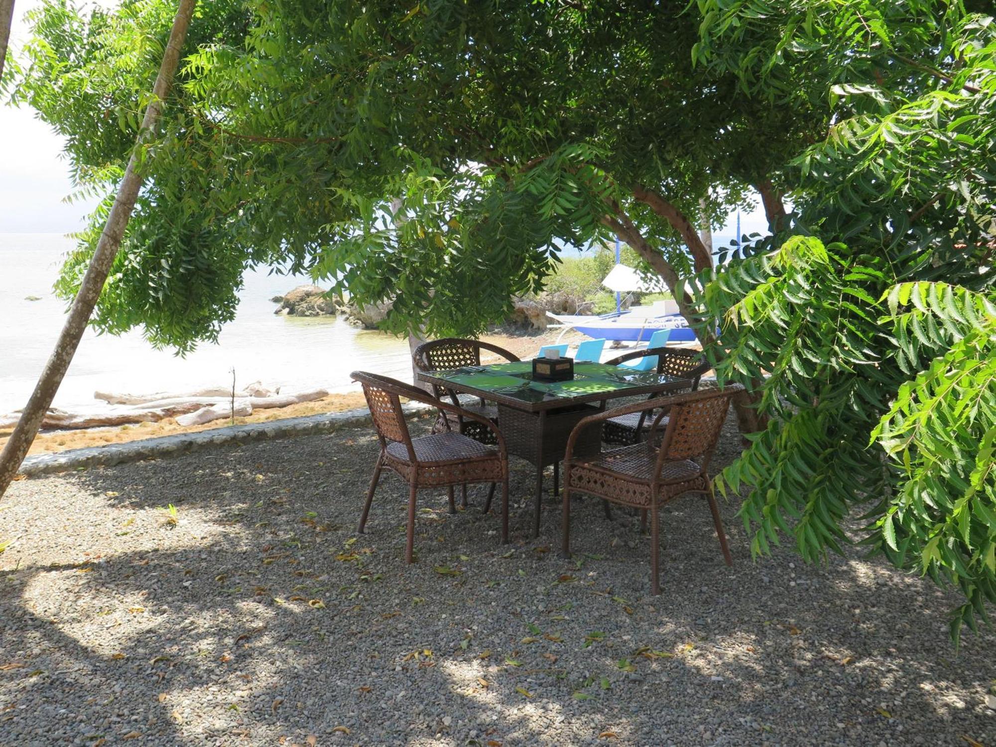 The Wild Orchid Resort - Moalboal Exteriér fotografie