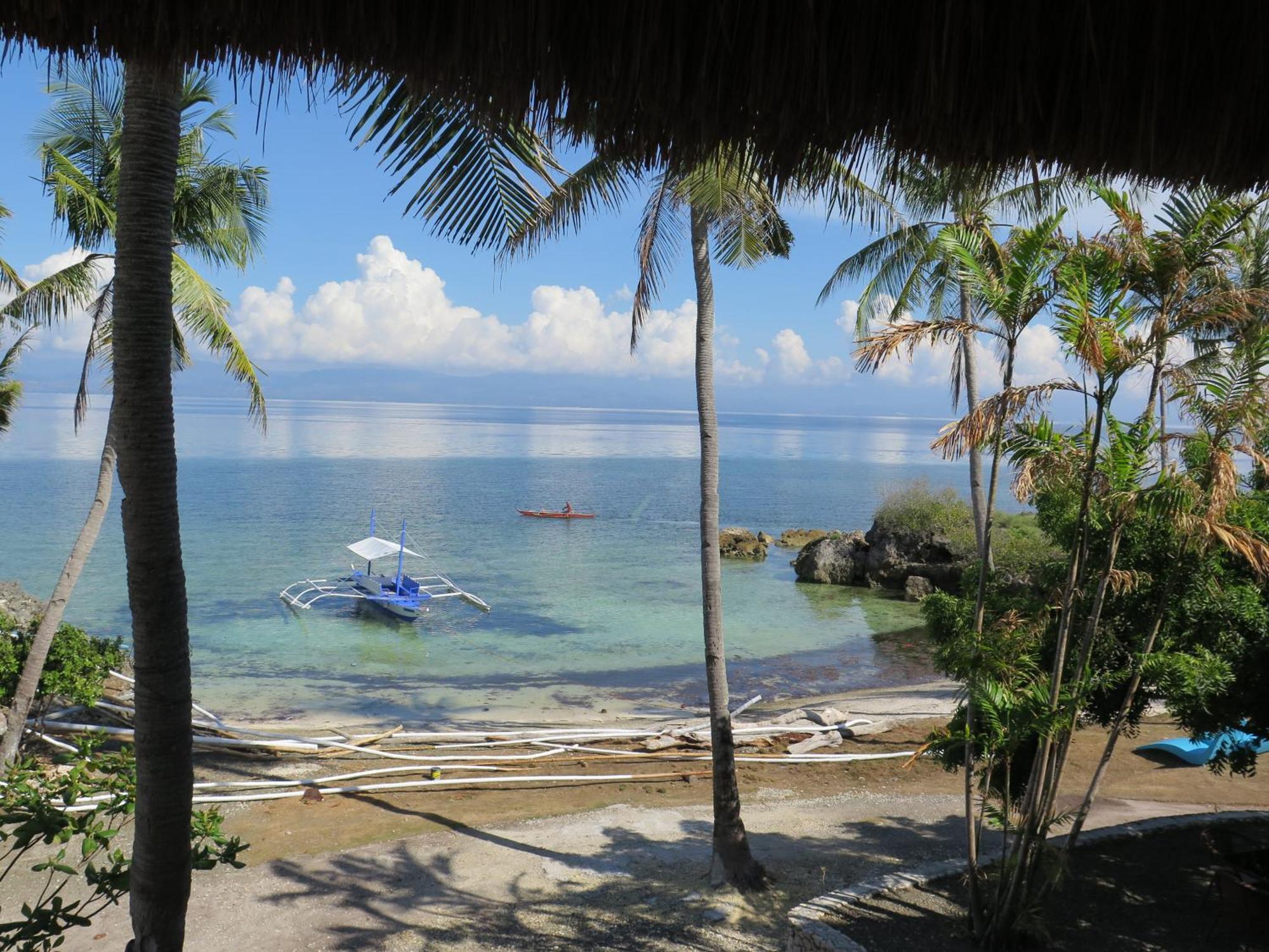 The Wild Orchid Resort - Moalboal Exteriér fotografie
