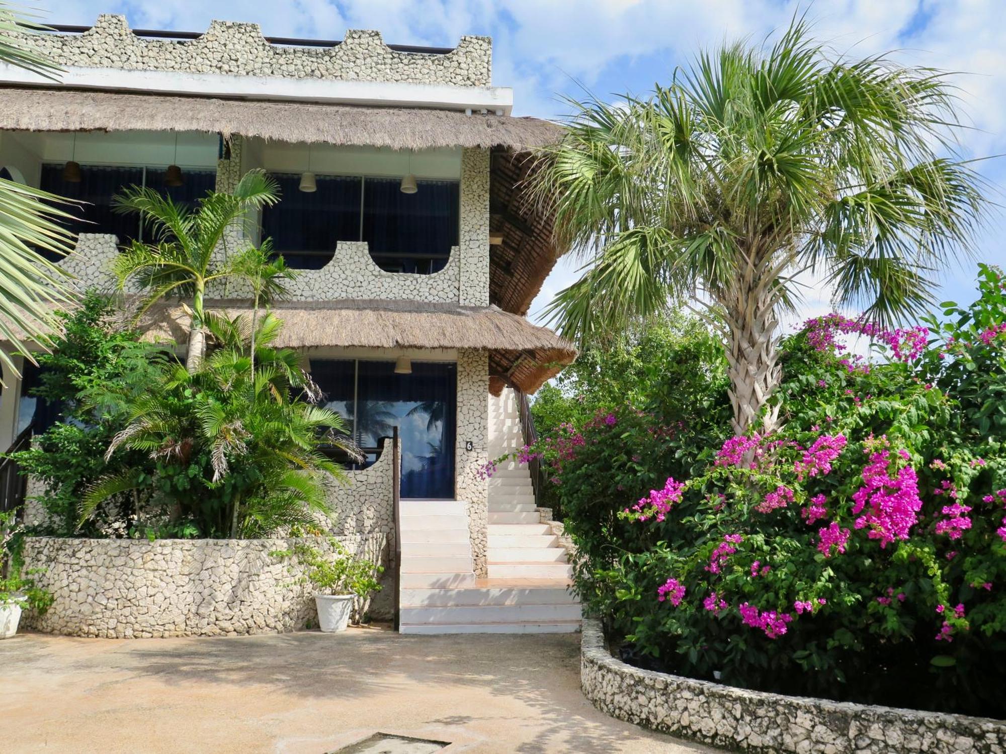 The Wild Orchid Resort - Moalboal Exteriér fotografie