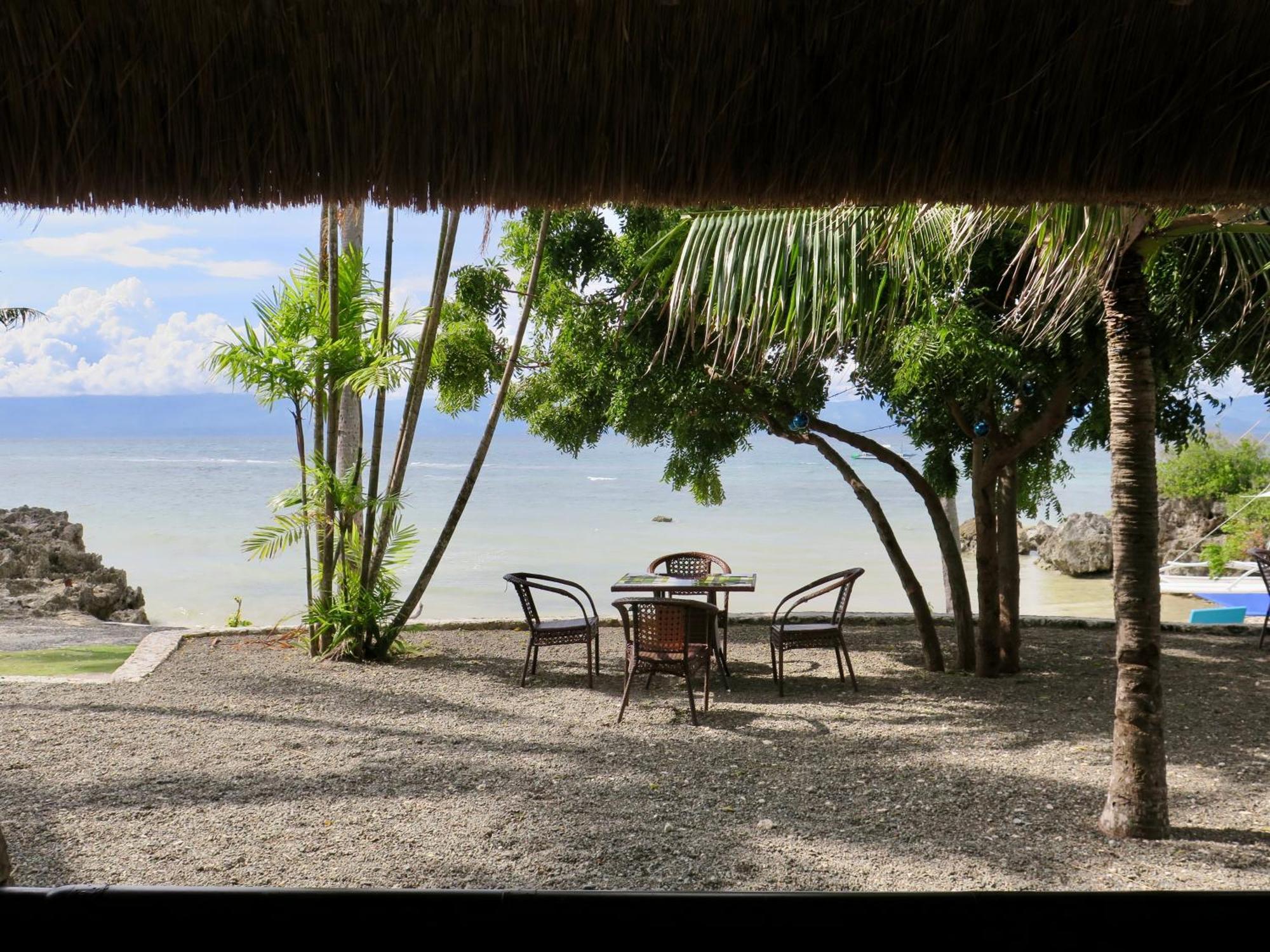 The Wild Orchid Resort - Moalboal Exteriér fotografie
