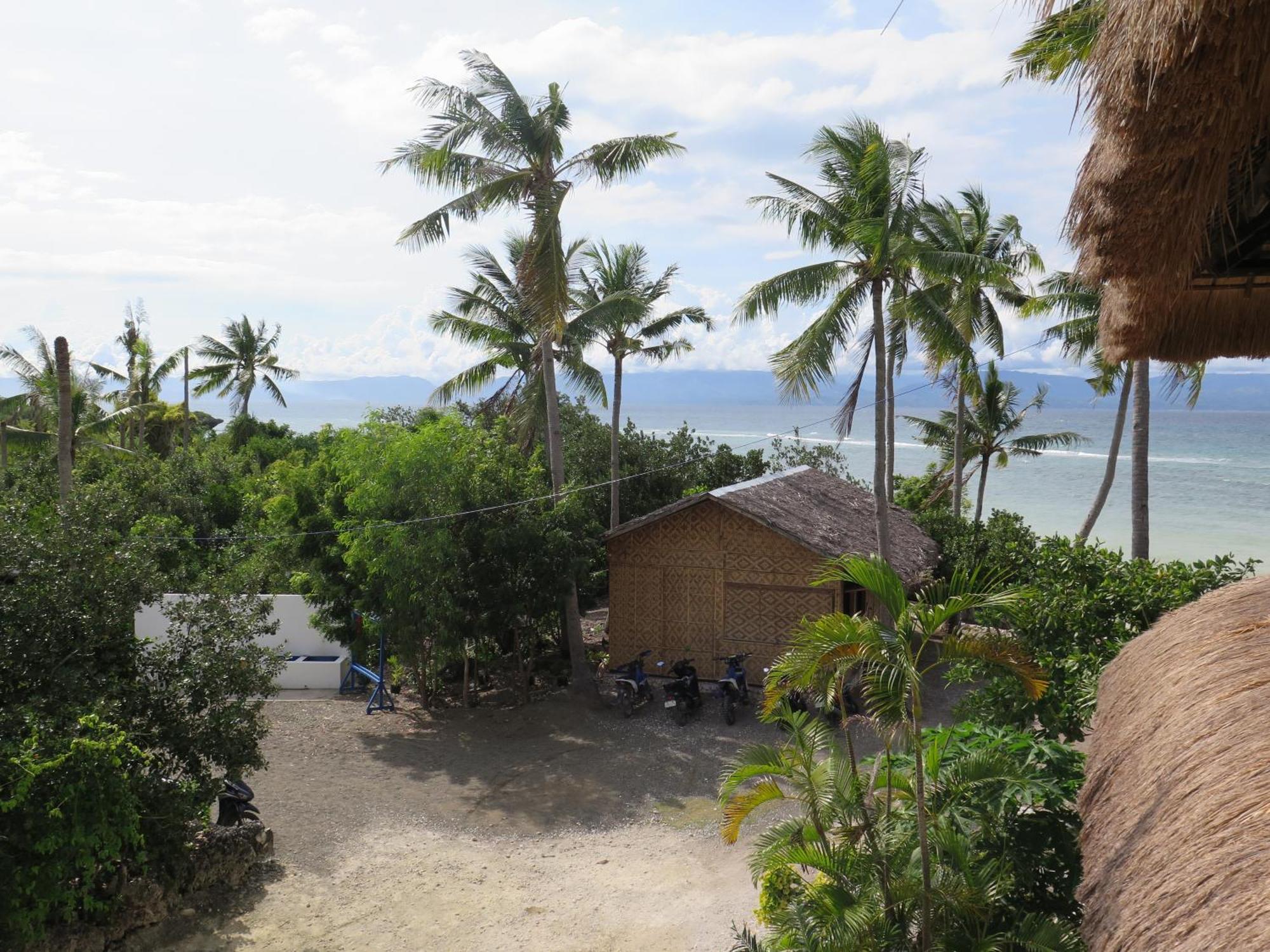 The Wild Orchid Resort - Moalboal Exteriér fotografie