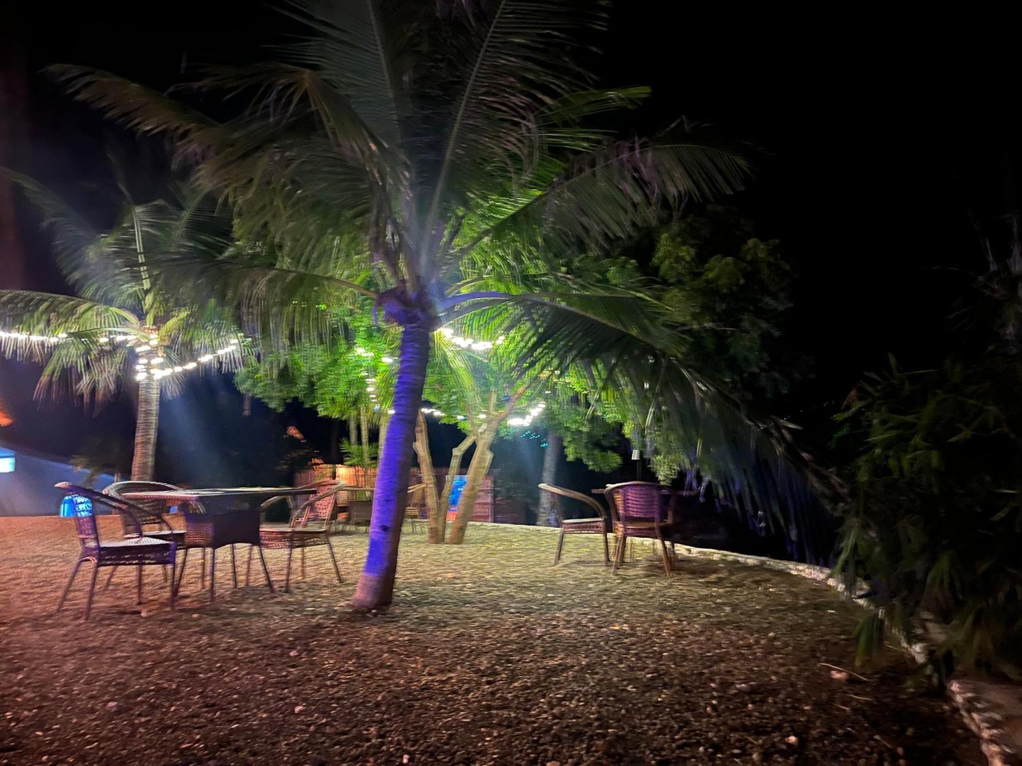 The Wild Orchid Resort - Moalboal Exteriér fotografie