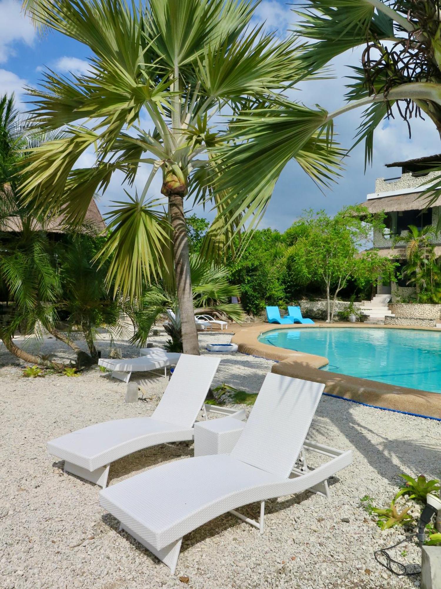 The Wild Orchid Resort - Moalboal Exteriér fotografie