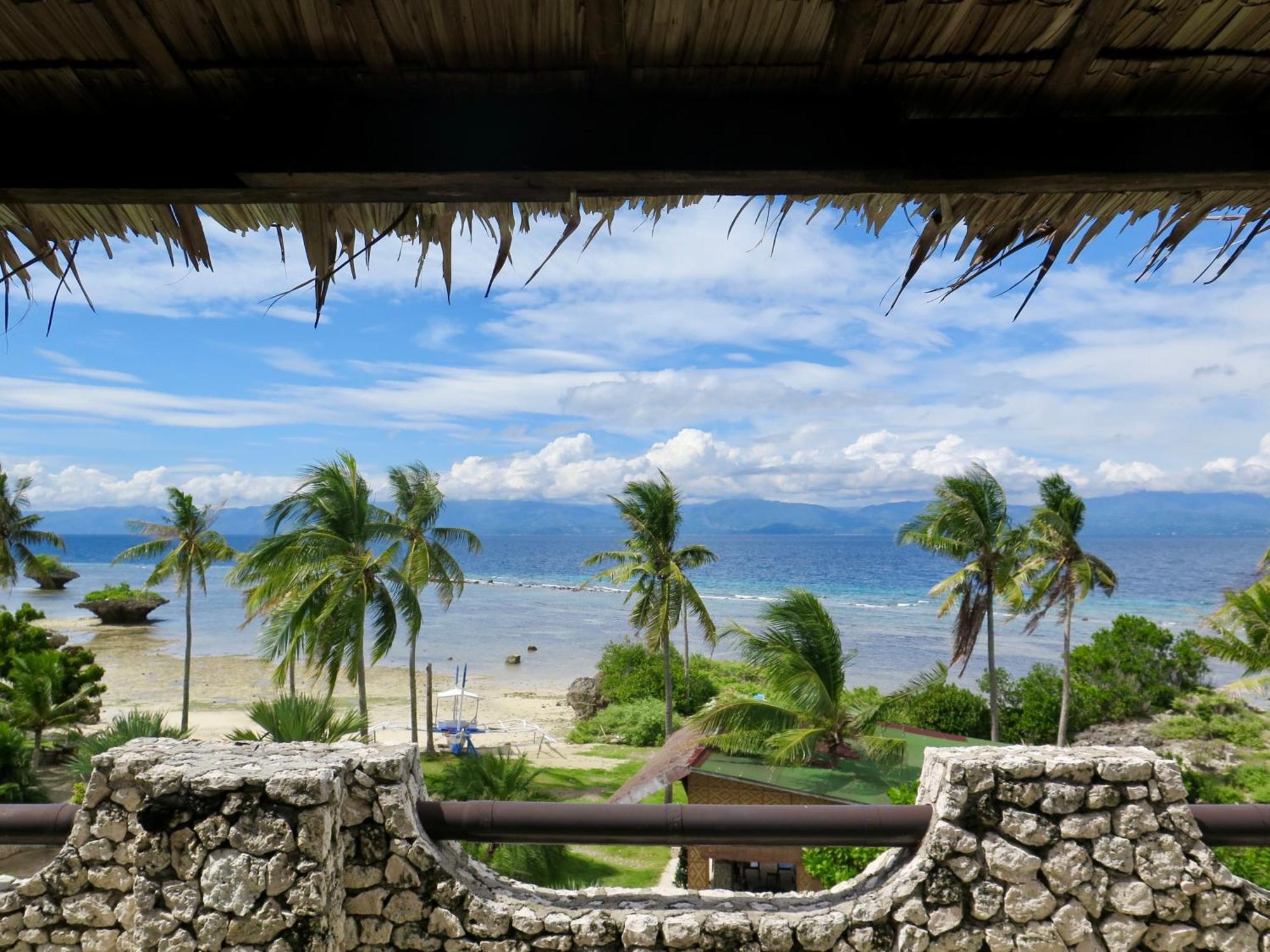 The Wild Orchid Resort - Moalboal Exteriér fotografie