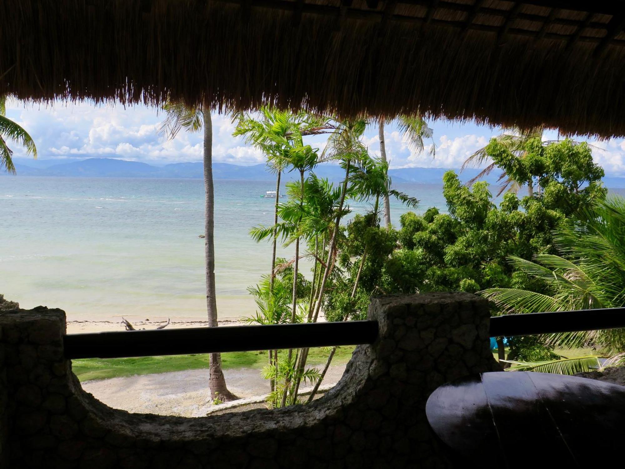 The Wild Orchid Resort - Moalboal Exteriér fotografie